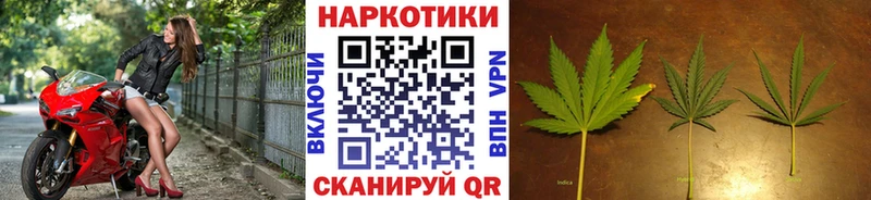 Где найти наркотики Новоржев Cocaine Псилоцибиновые грибы Каннабис Гашиш