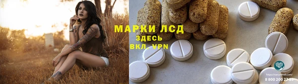 индика Губаха