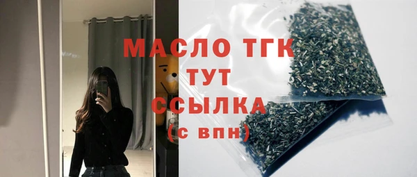 молекула духа Новодвинск