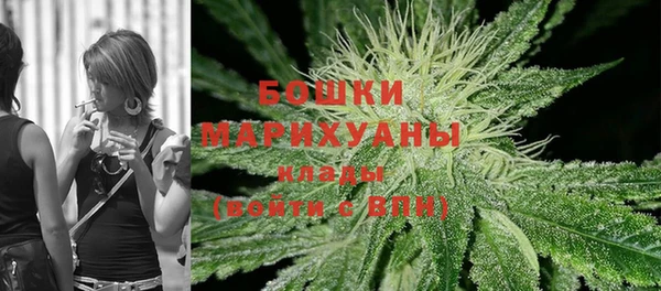 молекула духа Новодвинск