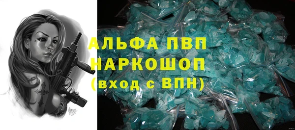 молекула духа Новодвинск