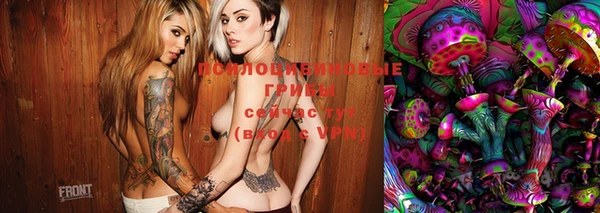 марки lsd Новозыбков