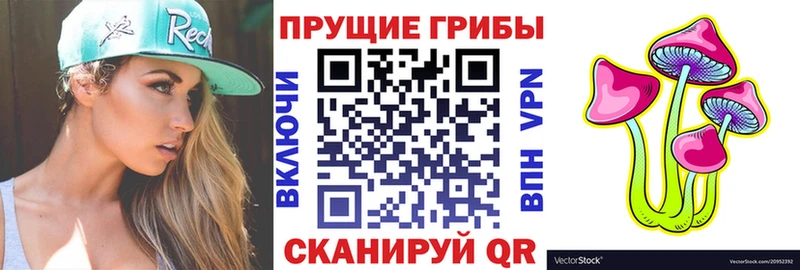 Галлюциногенные грибы Psilocybine cubensis  Новоржев 